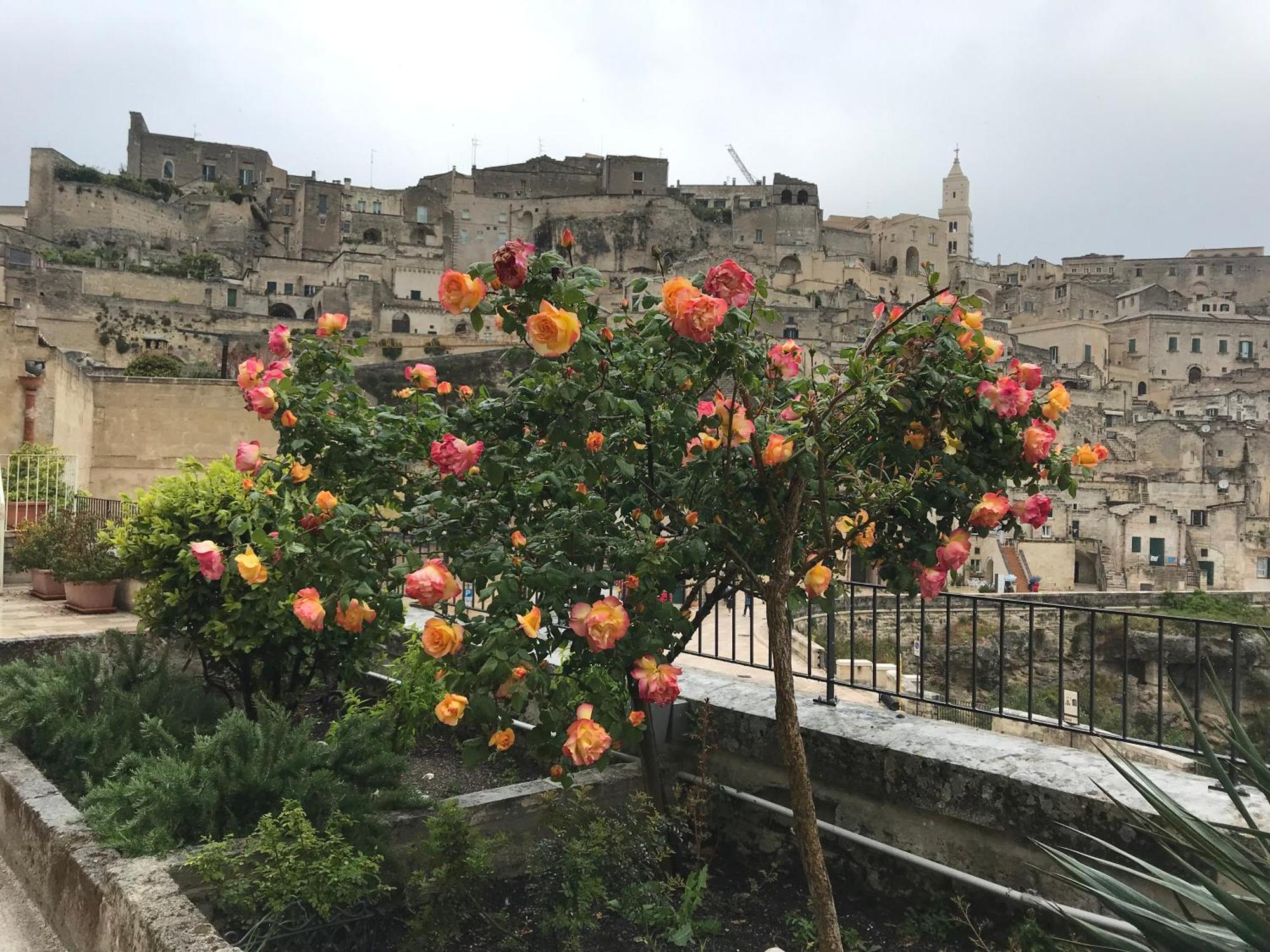 La Corte Dei Pastori Matera Eksteriør billede